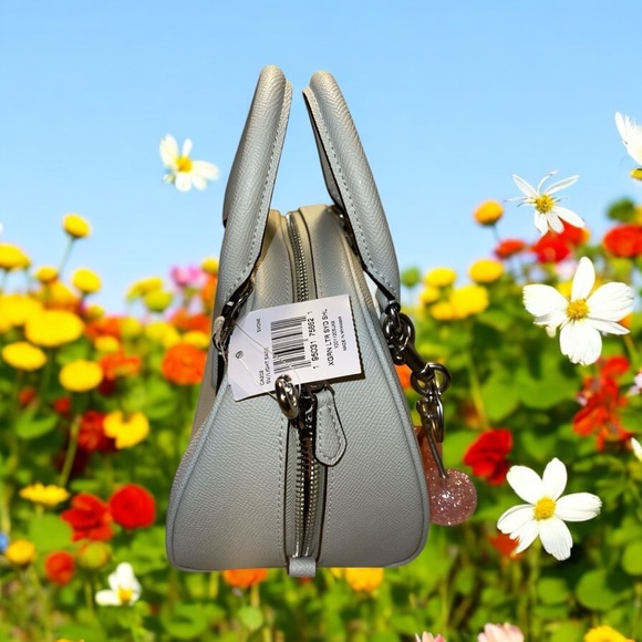 Coach Sydney Satchel Crossbody Lt. Sage Green Silver Logo Bag w/ pink cherry NWT - Picture 4 of 11